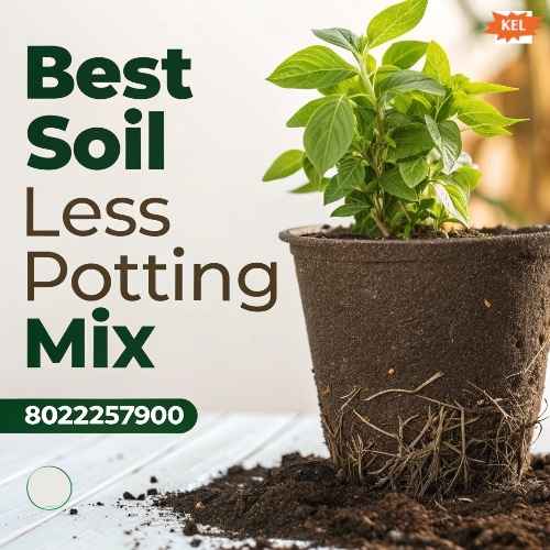 How Soilless Potting Mix Improves Plant Performance