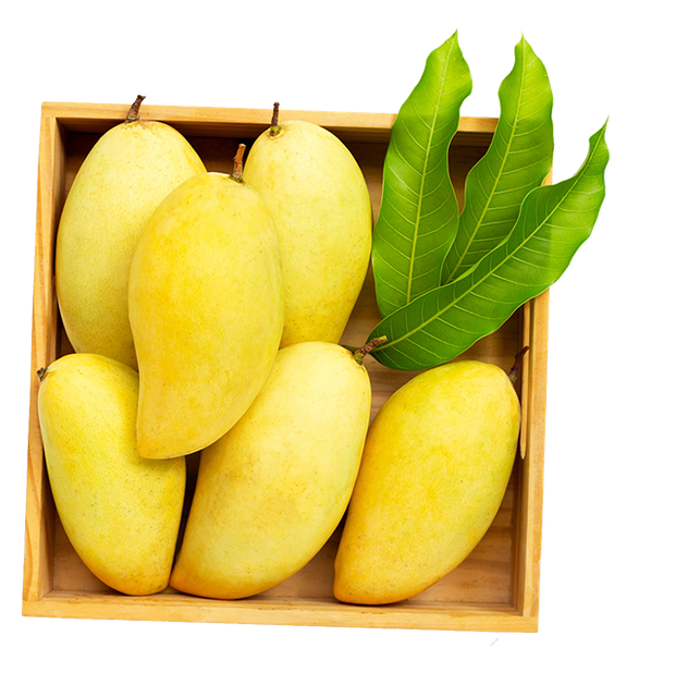 What Standards Define Export Quality Chaunsa Mango in 2026?